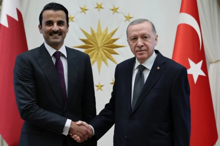 Cumhurbaşkanı Erdoğan, Katar Emiri Al Sani ile görüştü