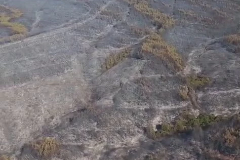 Tekirdağ Şarköy’deki yangın kontrol altında