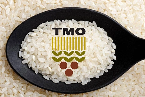 TMO: Tüm pirinçler yerli üreticiden