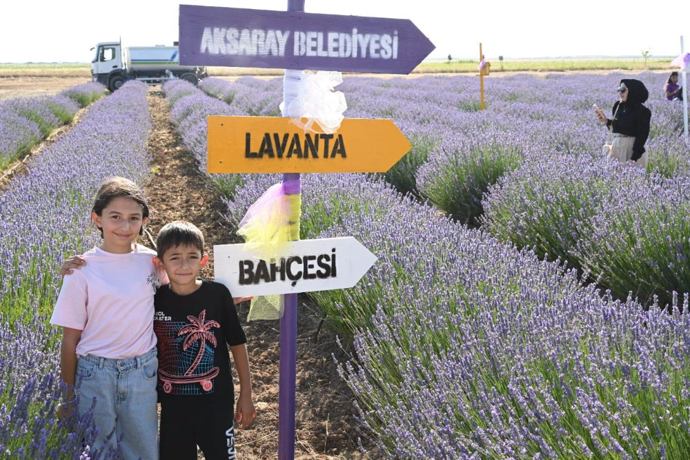 AKSARAY'DA MOR MEVSİM BAŞLADI: LAVANTA BAHÇESİ ZİYARETÇİLERİNİ AĞIRLIYOR