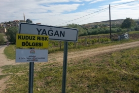 Aksaray Merkez'e bağlı Yağan köyünde kuduz paniği