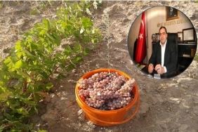 Aksaray'da Bağ Bozumu Telaşı Başladı